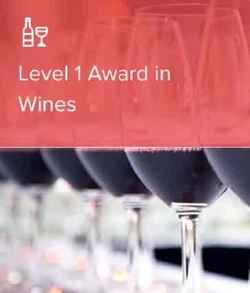 WSET Level 1 Award in Wines