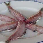 Ouzo - Sardeles pastes