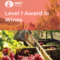 tulleeho_wset_l1_wine_cover