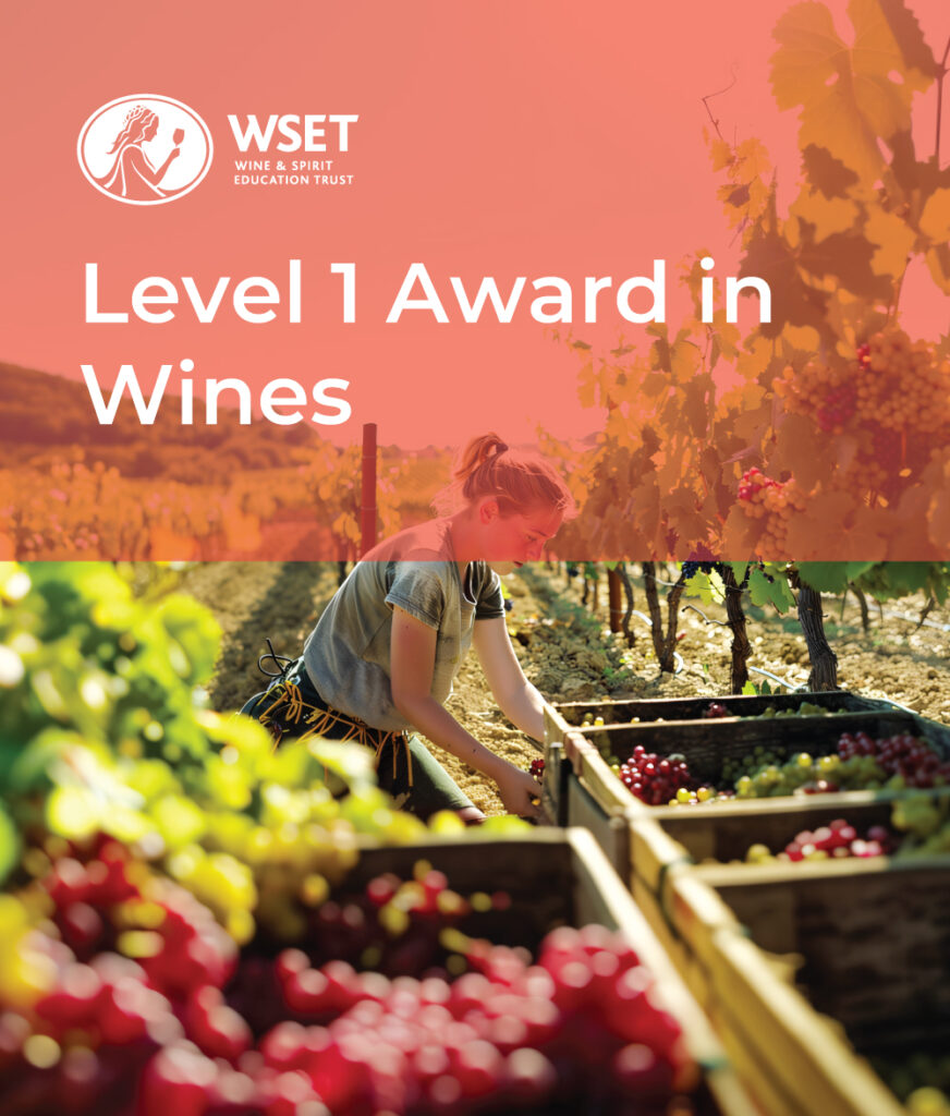 WSET Level 1 Award in Wines